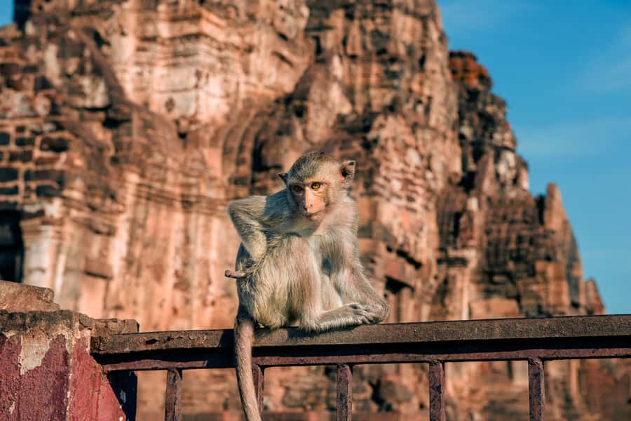 Bangkok: Ayutthaya & Lopburi Monkey Temple Private Day Trip - Leaving Bangkok in a private vehicle