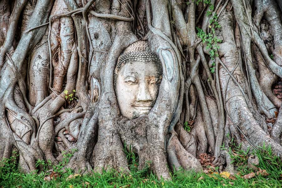 Bangkok: Ayutthaya & Lopburi Monkey Temple Private Day Trip - Lunch at a local restaurant