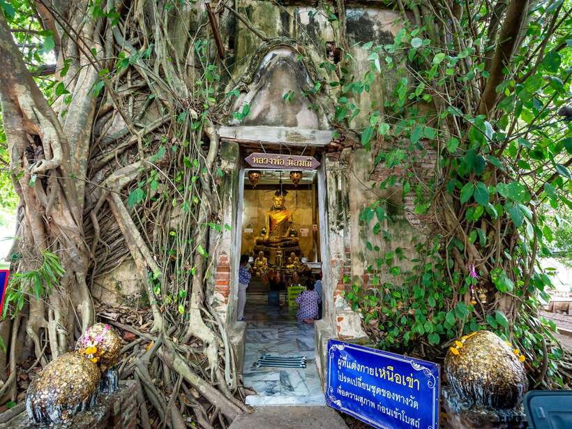 Bangkok: Maeklong Railway & Amphawa Floating Market Day Trip - My verdict