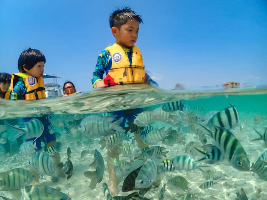 Bangkok: Nemo Island Day Trip with Drone Photos and Lunch - Should you book the Nemo Island trip?