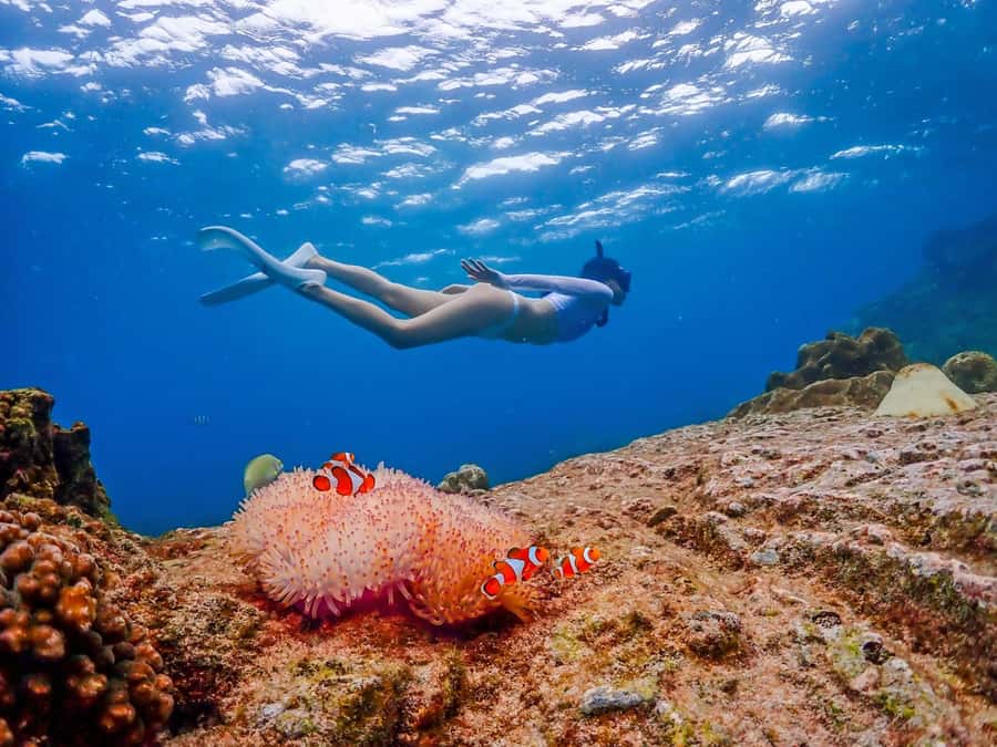 Bangkok: Nemo Island Day Trip with Drone Photos and Lunch - Why this Nemo trip works for a Bangkok holiday