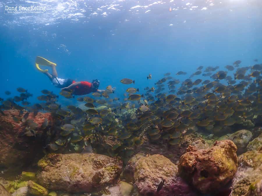 Bangkok: Nemo Island Day Trip with Drone Photos and Lunch - The 6-meter site and marine life