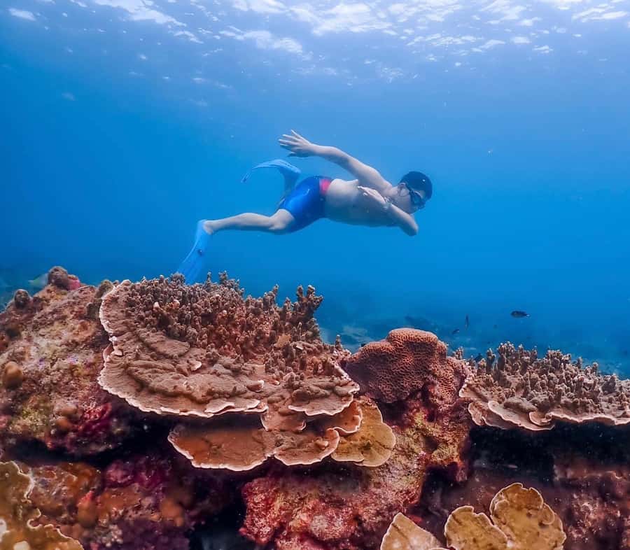 Bangkok: Nemo Island Day Trip with Drone Photos and Lunch - Lunch by the sea and the ride back