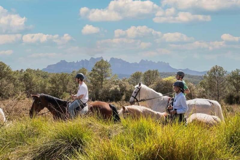 Barcelona: Walking and Horse Riding Day-Trip in Montserrat - What to bring and what to expect