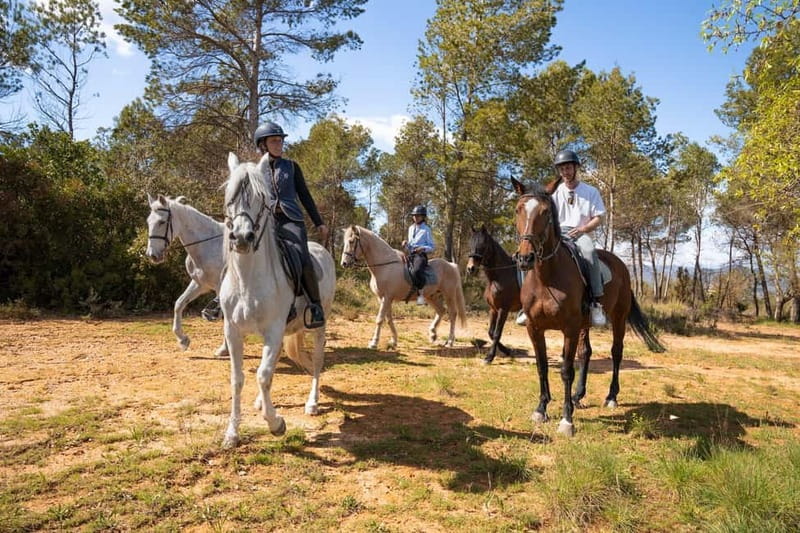 Barcelona: Walking and Horse Riding Day-Trip in Montserrat - How the day works for beginners