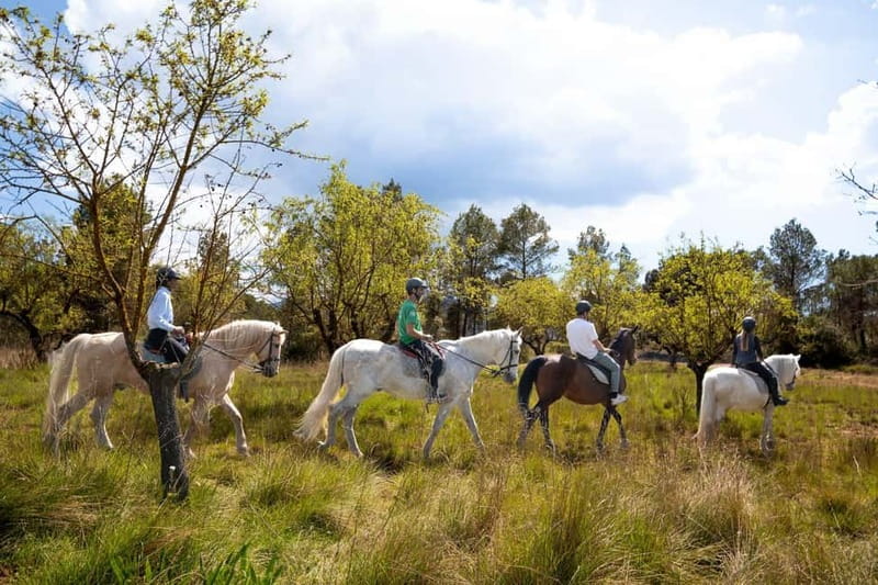 Barcelona: Walking and Horse Riding Day-Trip in Montserrat - Montserrat Monastery and the mountain’s unusual shape