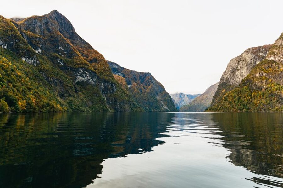 Bergen: Self-Guided Round-Trip Full-Day Excursion - Should you book this Bergen excursion?