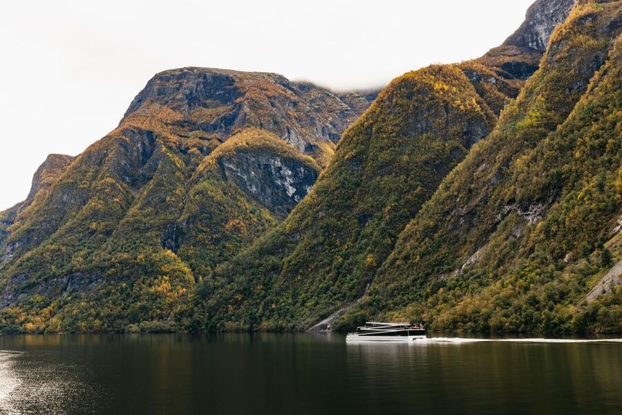 Bergen: Self-Guided Round-Trip Full-Day Excursion - Myrdal completes the rail loop