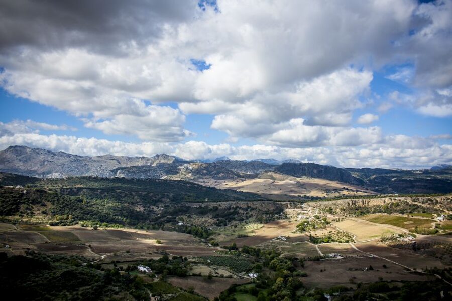 Best of Ronda: Guided Tour from Málaga - Language, group size, and guide quality