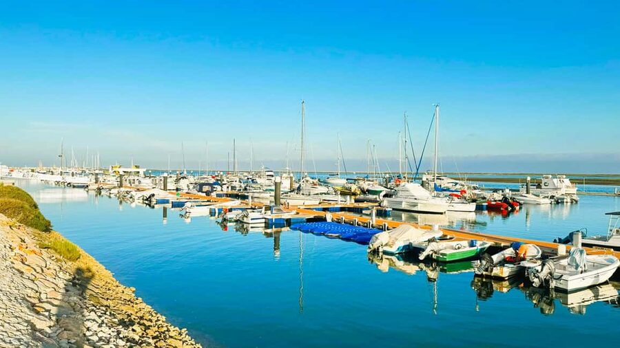 Best of the East: Day Trip to Faro, Olhão, Tavira, & more - Olhão and its traditional fishing markets