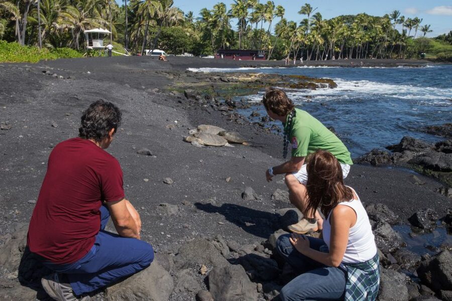 Big Island: Volcanoes, Waterfalls, & Coffee Farm Day-Trip - Akaka Falls and Rainbow Falls bring two different water views