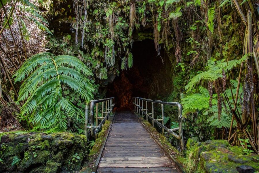 Big Island: Volcanoes, Waterfalls, & Coffee Farm Day-Trip - The coffee farm adds a local taste to the route