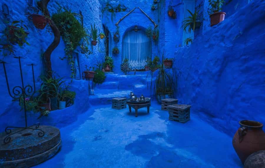 Blue City magic: Affordable Day Trip from Fez to Chefchaouen - What to do with your free time