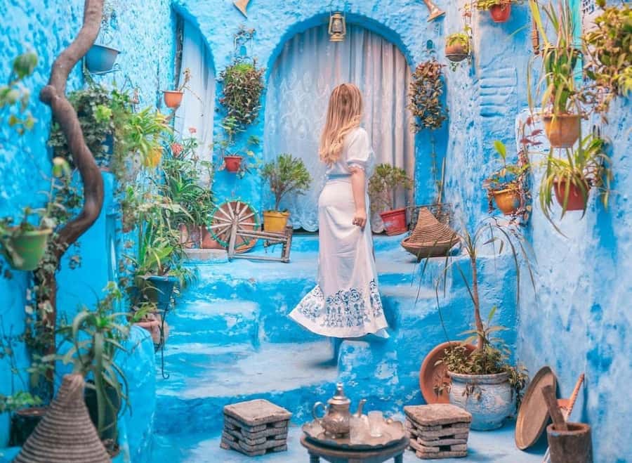 Blue City magic: Affordable Day Trip from Fez to Chefchaouen - Is $28 good value?