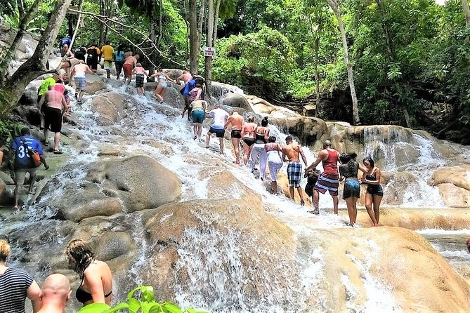 Blue Hole, Secret Falls, and Dunn's River Falls Combo Day-Trip - One day, three very different Jamaican experiences