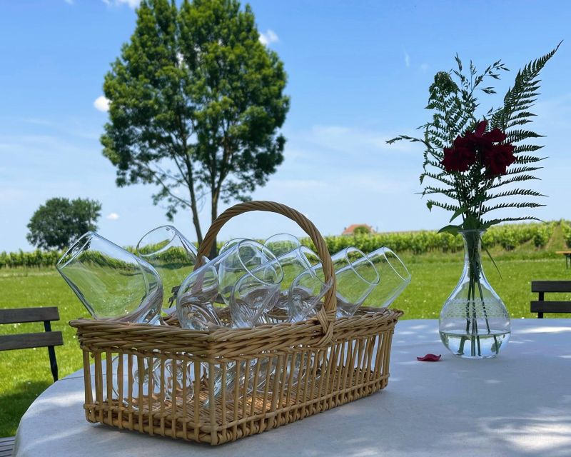 Bordeaux: Saint-Emilion Village Day Trip, 2 Chateaux & Lunch - From Bordeaux to Saint-Émilion in 50 minutes