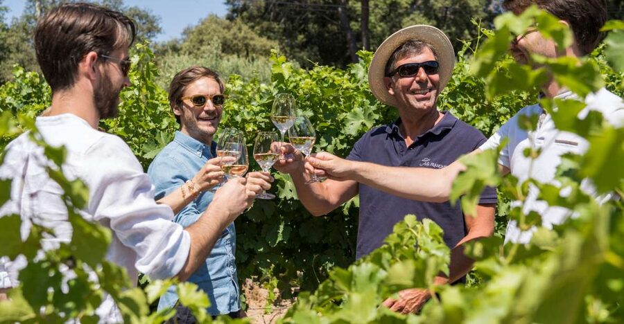 Bordeaux: Saint-Emilion Village Day Trip, 2 Chateaux & Lunch - Learning to taste Bordeaux wine