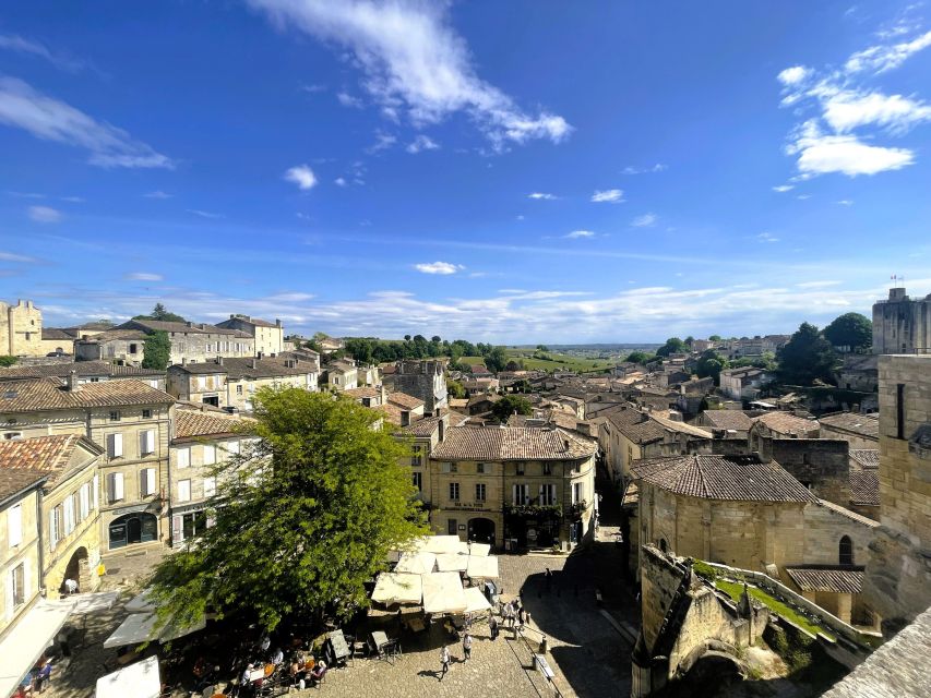 Bordeaux: Saint-Emilion Village Day Trip, 2 Chateaux & Lunch - A French picnic between the estate visits