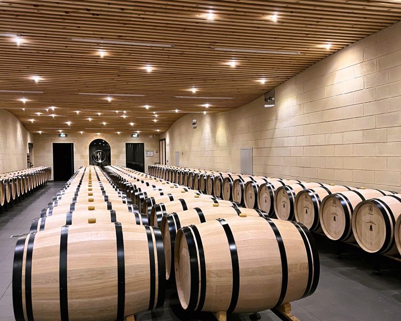 Bordeaux: Saint-Emilion Village Day Trip, 2 Chateaux & Lunch - Practical limits and who should skip it