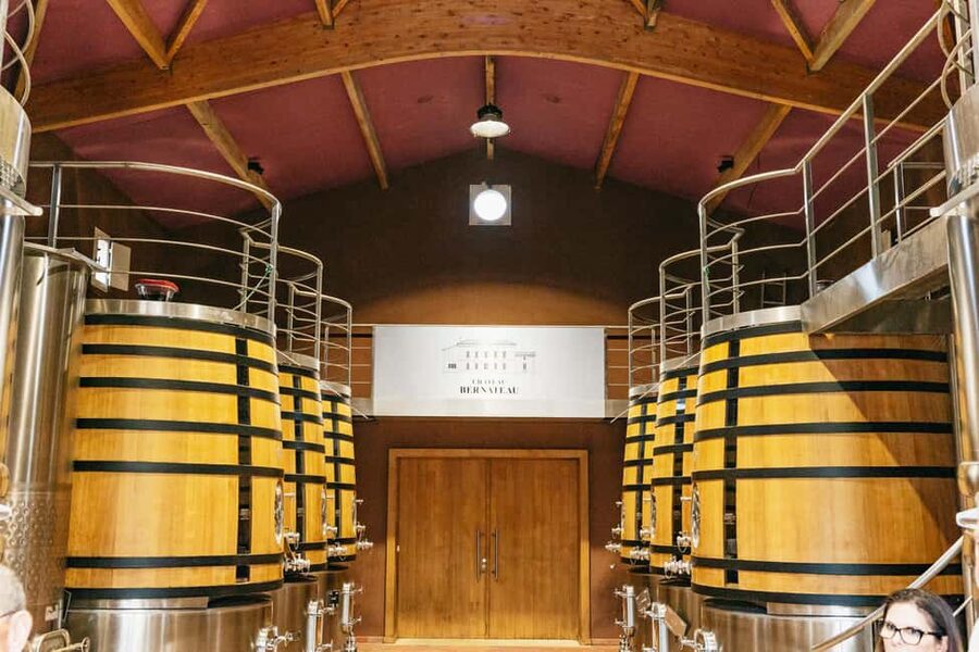 Bordeaux: St. Emilion Day Trip with Wine Tasting and Lunch - Who should book this day trip?
