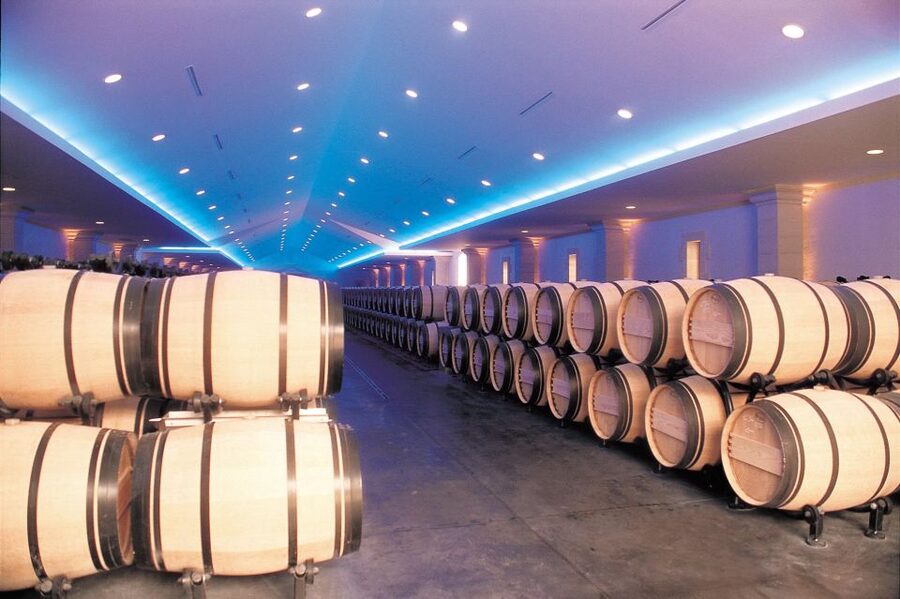 Bordeaux: Vineyards Wine Tasting Half-Day Trip - What the coach ride is really like