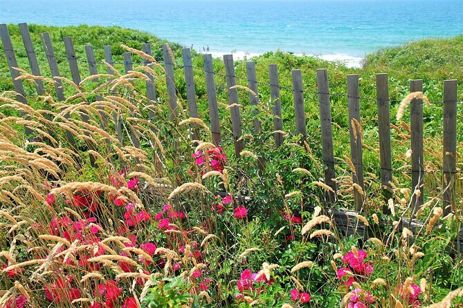 Boston to Martha's Vineyard Day Trip with Optional Island Tour - Oak Bluffs and the gingerbread cottages