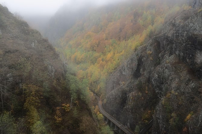 Brasov Private Tour: Transfagarasan road & Poienari Fortress - Winter changes the route completely