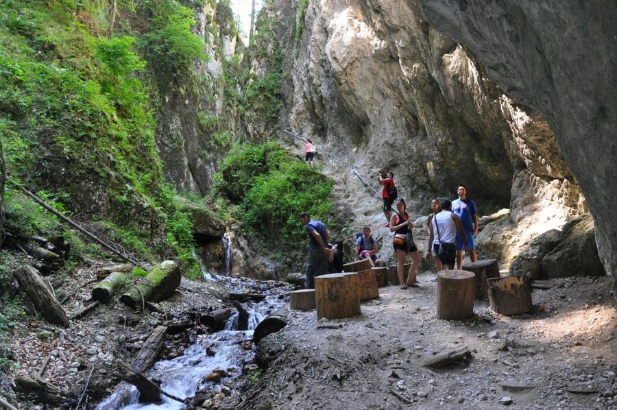 Brasov: Small-Group 7 Ladders Canyon Day Trip - Choosing between the short and hard return route