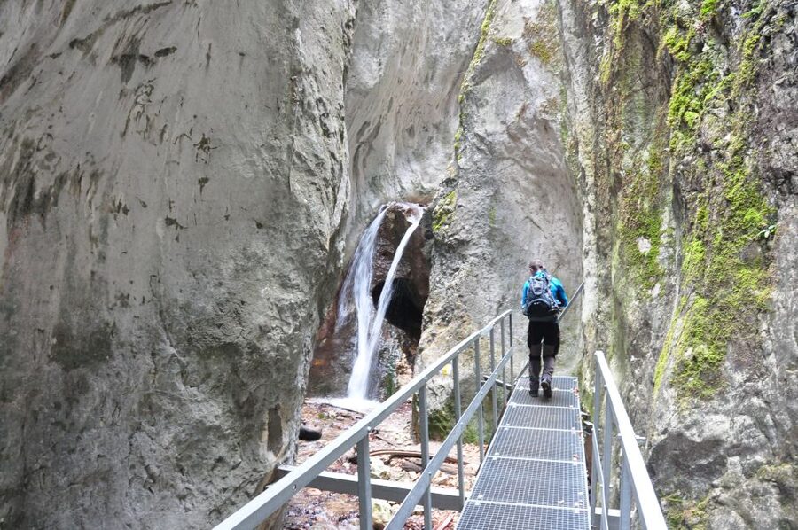 Brasov: Small-Group 7 Ladders Canyon Day Trip - The guide can shape the whole outing