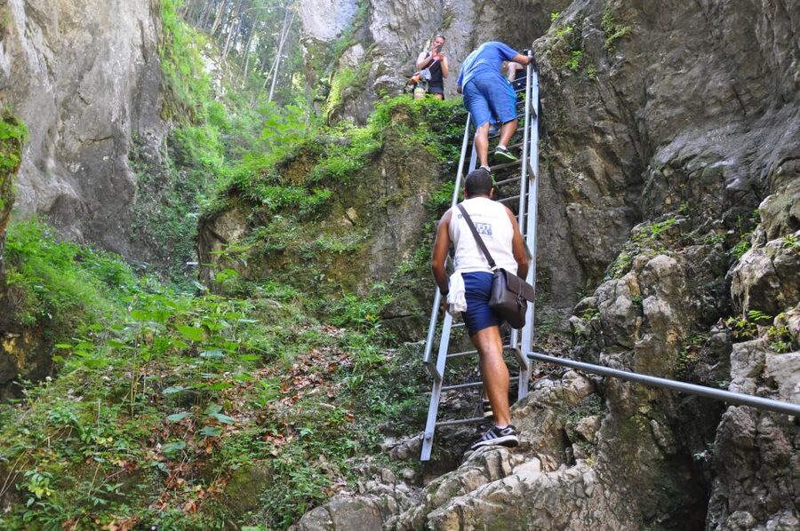 Brasov: Small-Group 7 Ladders Canyon Day Trip - Who should book this Brasov excursion?