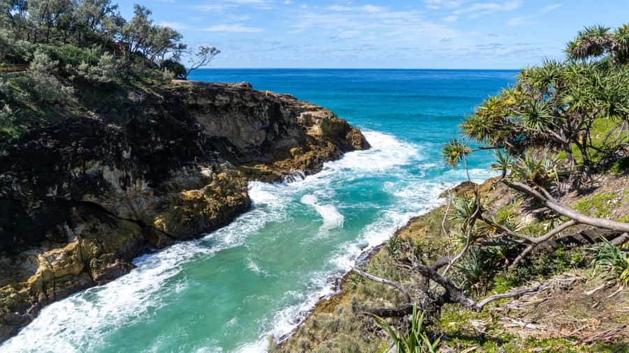 Brisbane to North Stradbroke Island Day: Wildlife & Beaches - North Gorge Walk and Point Lookout wildlife