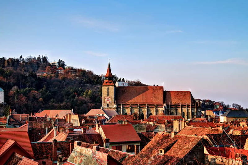 Bucharest: Day Trip to Bear Sanctuary, Bran Castle & Brasov - Why the bear sanctuary comes first