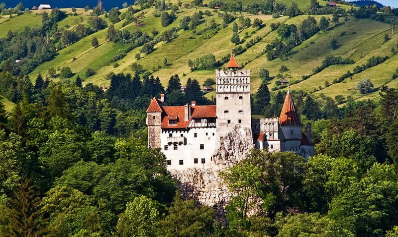 Bucharest: Day Trip to Bear Sanctuary, Bran Castle & Brasov - The three-hour drive from Bucharest