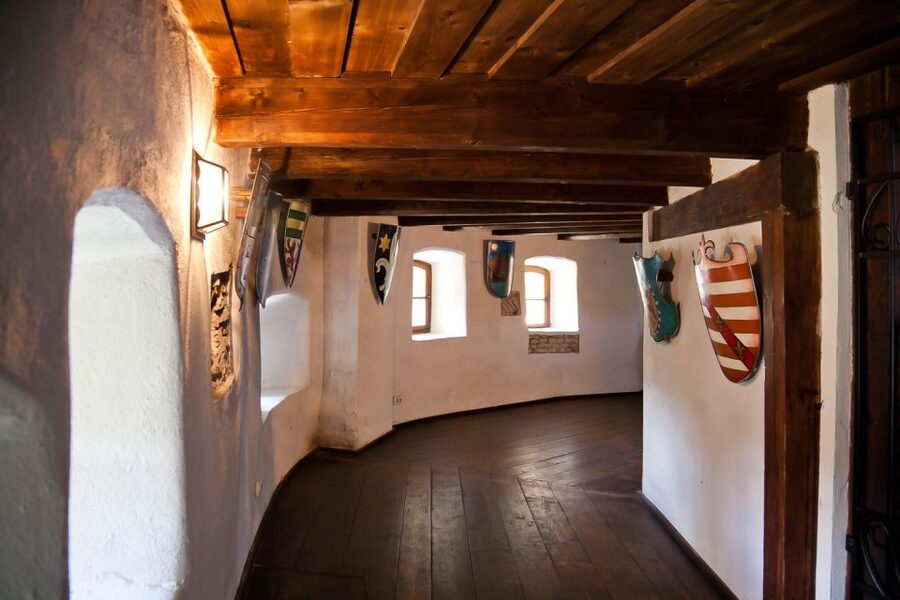 Bucharest: Day Trip to Dracula Castle, Peles Castle & Brașov - What the $45 price really covers