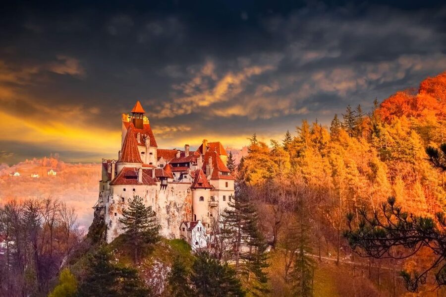 Bucharest: Dracula's Castle, Peleș Castle & Brașov Day Trip - At a glance