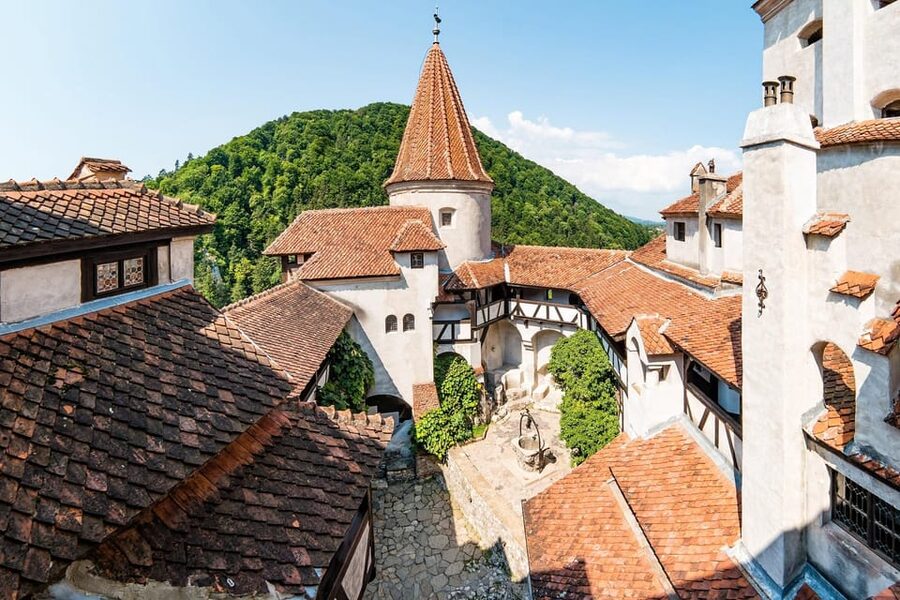 Bucharest: Peles & Dracula's Castle and Brasov Full-Day Trip - Bran Castle and the Dracula question