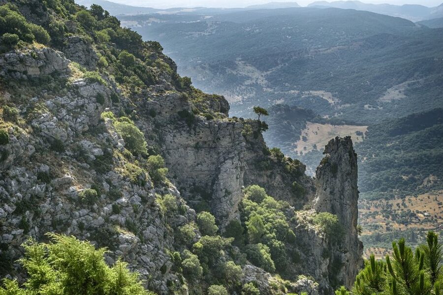 Cadiz, Jerez or El Puerto: White Towns of Andalusia Day Trip - The guide and language question