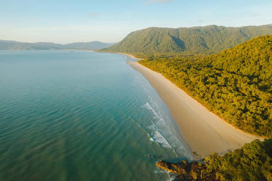 Cairns: Daintree, Mossman Gorge, & Cape Tribulation Day Trip - Why this day trip works so well