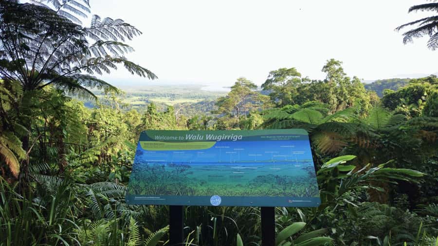 Cairns: Daintree, Mossman Gorge, & Cape Tribulation Day Trip - The coastal road from Cairns to Port Douglas