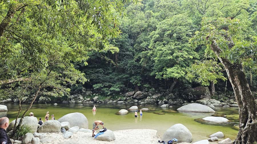 Cairns: Daintree, Mossman Gorge, & Cape Tribulation Day Trip - Cape Tribulation, where forest meets the sea
