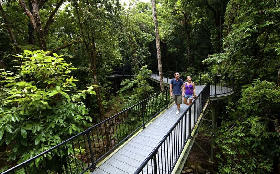 Cairns: Daintree, Mossman Gorge, & Cape Tribulation Day Trip - Mossman Gorge: the day’s most refreshing stop