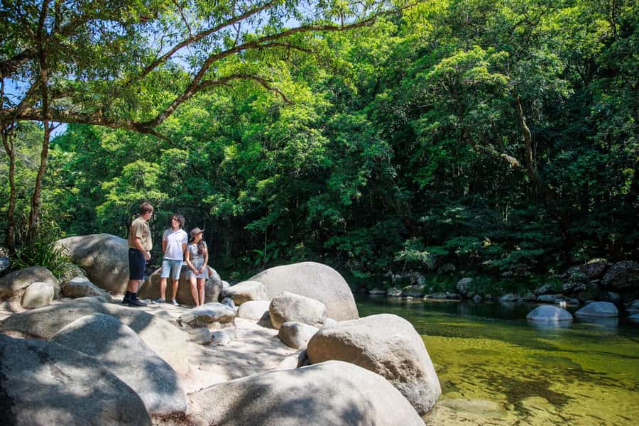 Cairns: Daintree Rainforest & Cape Tribulation Day Trip - Mossman Gorge, with a guided walk and morning tea