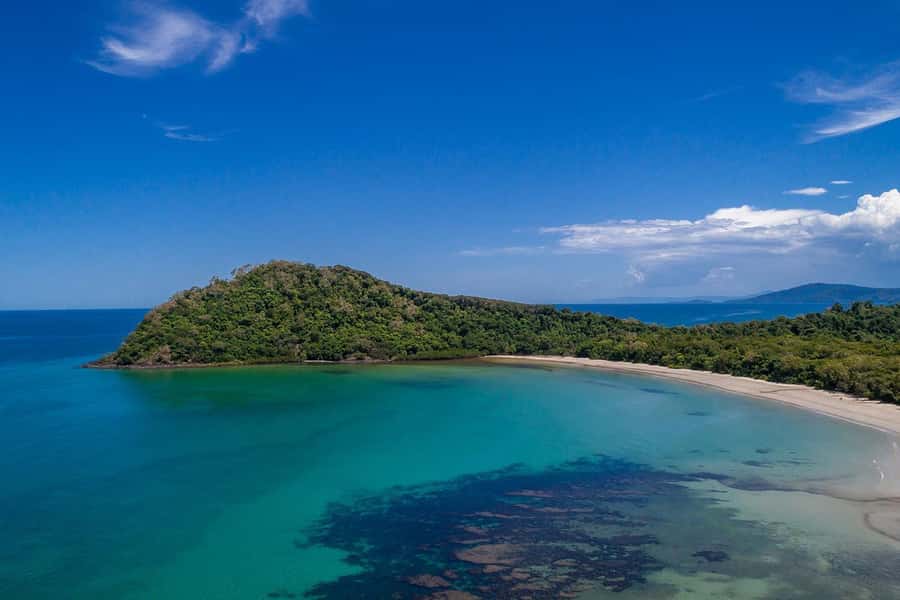 Cairns: Daintree Rainforest & Cape Tribulation Day Trip - Cape Tribulation, where forest meets reef
