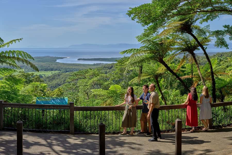 Cairns: Daintree Rainforest & Cape Tribulation Day Trip - My verdict on the Daintree day trip