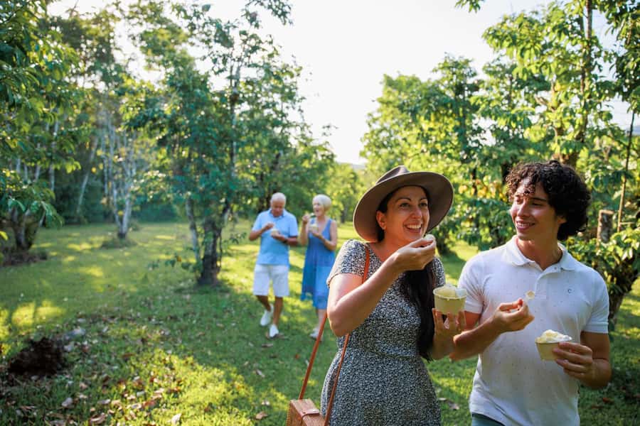 Cairns: Daintree Rainforest & Cape Tribulation Day Trip - The Daintree River cruise and the search for crocodiles