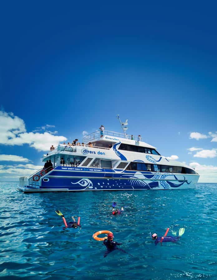 Cairns: Premium Snorkelling and Diving Reef Day Trip - Key points at a glance