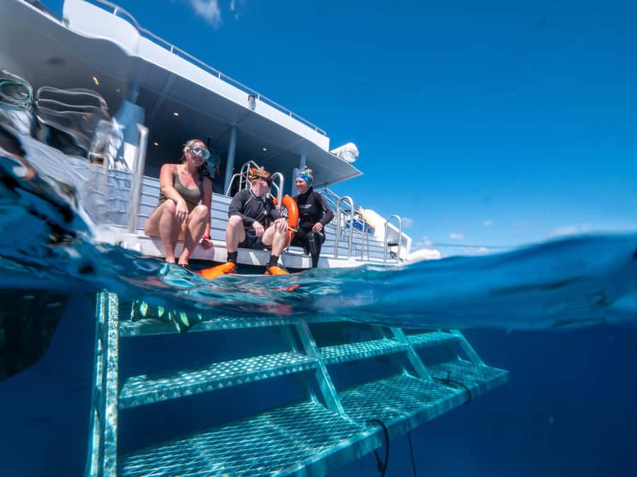 Cairns: Premium Snorkelling and Diving Reef Day Trip - Practical ways to make the day easier