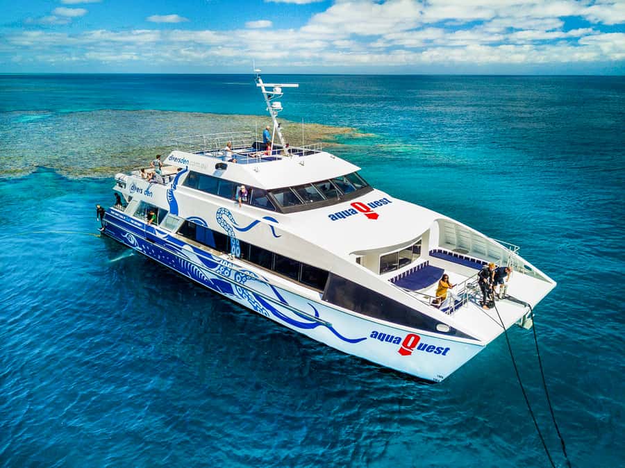 Cairns: Premium Snorkelling and Diving Reef Day Trip - Why the outer reef makes the long boat ride worthwhile