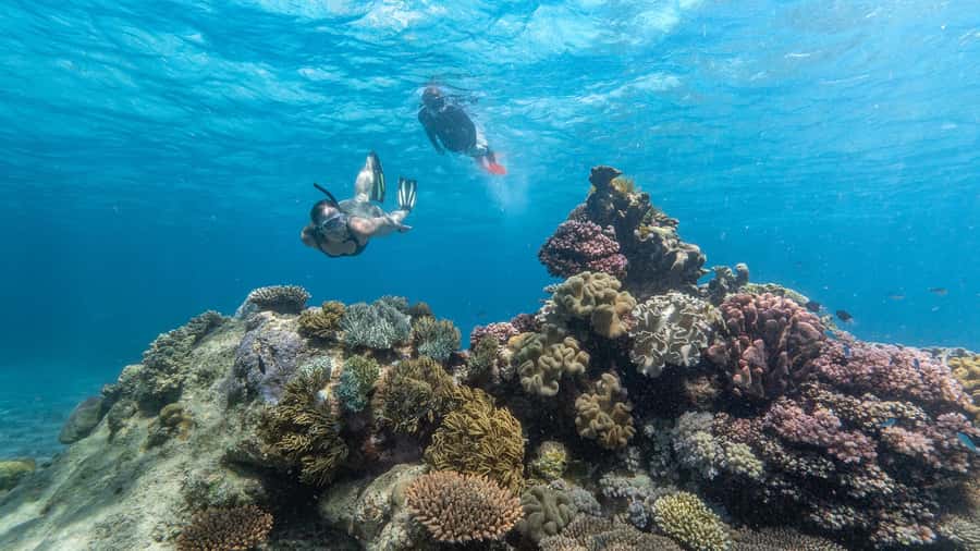 Cairns: Premium Snorkelling and Diving Reef Day Trip - AquaQuest is designed around getting into the water