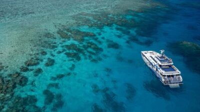 Cairns: Premium Snorkelling and Diving Reef Day Trip
